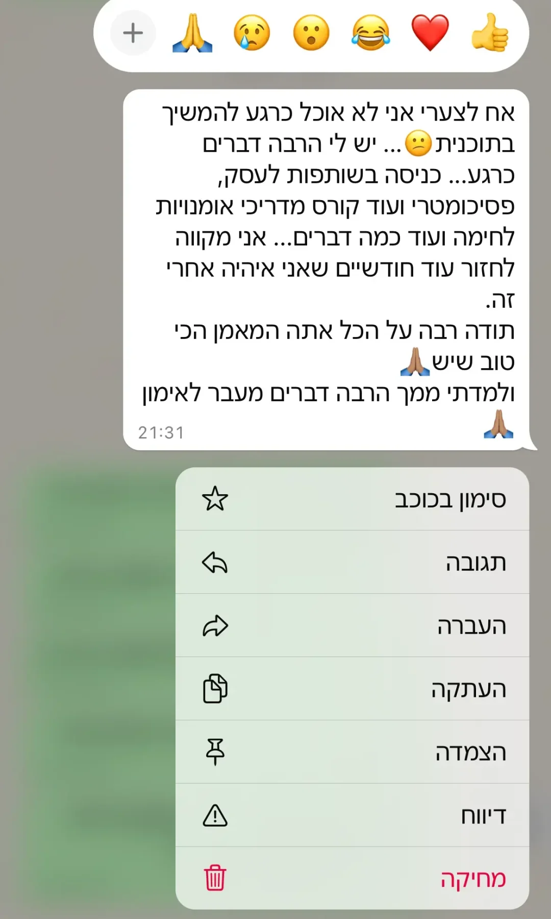 ביקורת 3