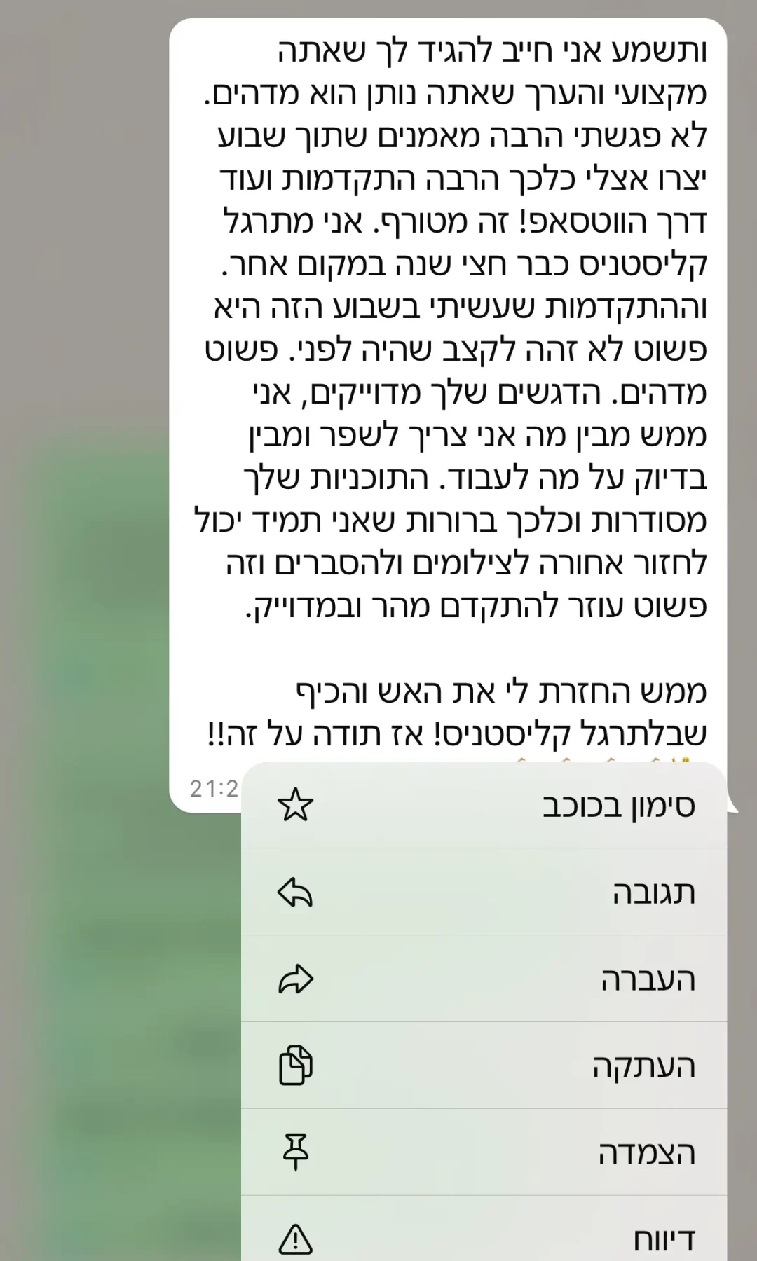 ביקורת 4